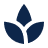 spa-icon